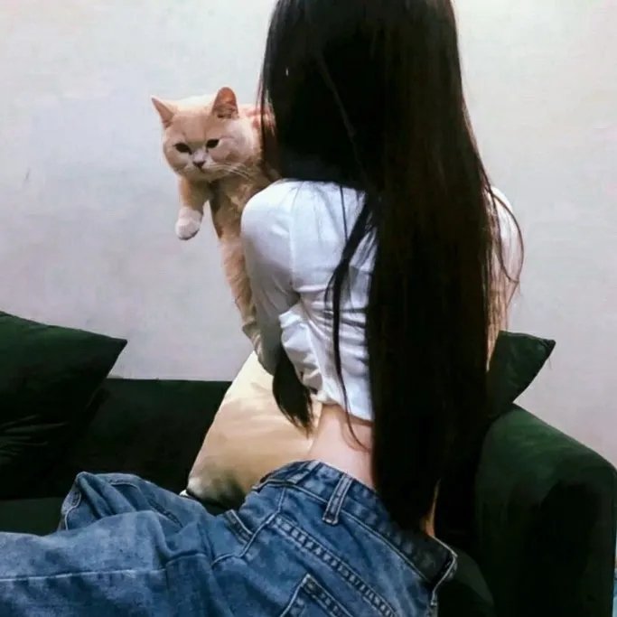 冷战谍对谍